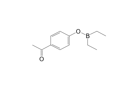 4-Acetylphenyl diethylborinate