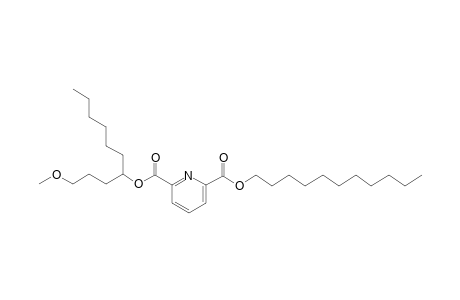 2,6-Pyridinedicarboxylic acid, 1-methoxydec-4-yl undecyl ester