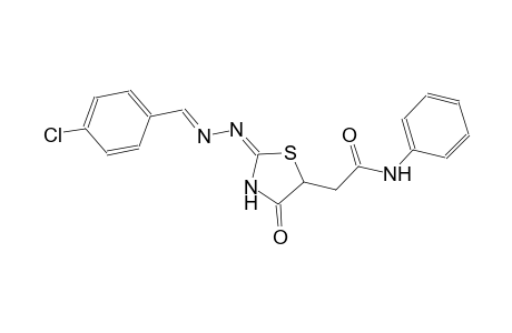 2-{(2E)-2-[(2E)-2-(4-chlorobenzylidene)hydrazono]-4-oxo-1,3-thiazolidin-5-yl}-N-phenylacetamide