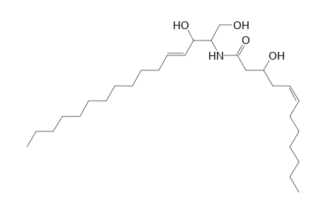 Cer 16:1;2O/12:1;(3OH)