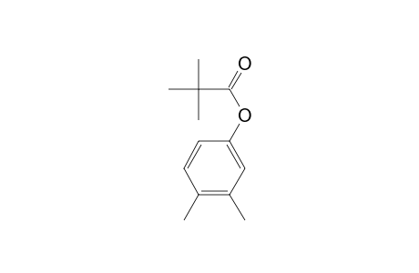 Pivalic acid, 3,4-dimethylphenyl ester