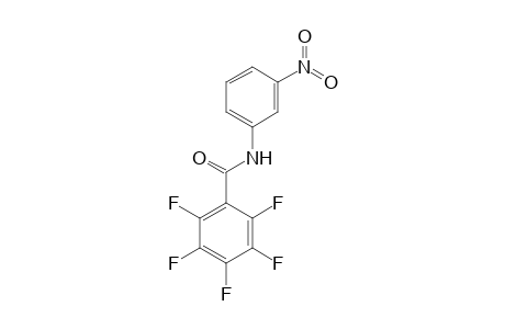 2,3,4,5,6-Pentafluoro-N-(3-nitrophenyl)benzamide