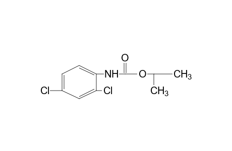 2,4-dichlorocarbanilic acid, isopropyl ester