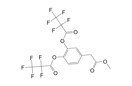 Benzeneacetic acid, 3,4-bis(2,2,3,3,3-pentafluoro-1-oxopropoxy)-, methyl ester