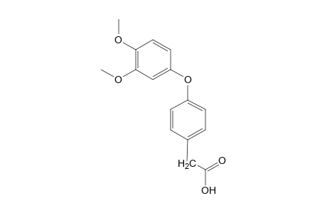 ACETIC ACID, P-/3,4-DIMETHYL- PHENOXY/PHENYL-,