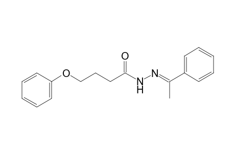 4-Phenoxybutyric acid, (alpha-methylbenzylidene)hydrazide