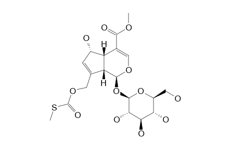 PAEDEROSIDIC-ACID-METHYLESTER