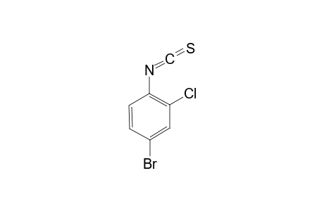 4-Bromo-2-chlorophenyl isothiocyanate