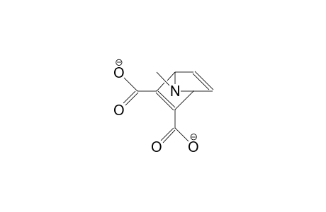 syn-N-Methyl-7-aza-norbornadiene-2,3-dicarboxylate dianion