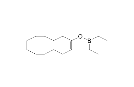 1-Cyclododecen-1-yl diethylborinate