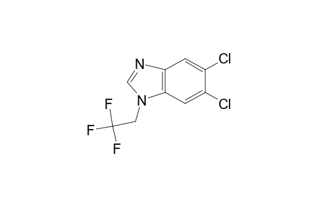 1H-benzimidazole, 5,6-dichloro-1-(2,2,2-trifluoroethyl)-