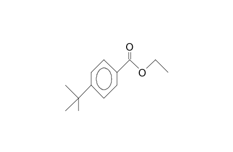 p-tert-butylbenzoic acid, ethyl ester
