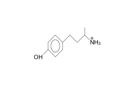A-Methyl-4-hydroxy-benzenepropanamine cation
