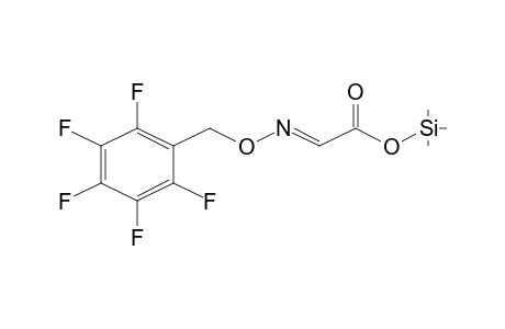 Glyoxylic acid, O-pentafluorobenzyloxime, trimethylsilyl ester