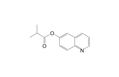 6-Hydroxyquinoline, 2-methylpropionate