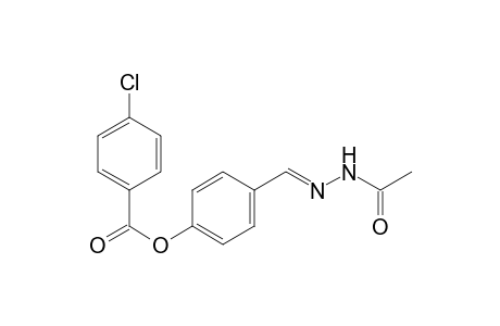 4-[(E)-(2-acetylhydrazono)methyl]phenyl 4-chlorobenzoate