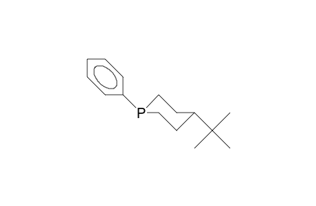 cis-4-tert-Butyl-1-phenyl-phosphorinane