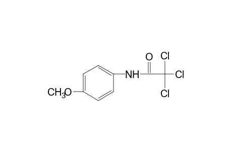 2,2,2-trichloro-p-acetanisidide