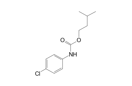 p-chlorocarbanilic acid, isopentyl ester