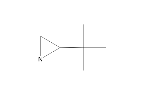 2-tert-BUTYLAZIRIDINE