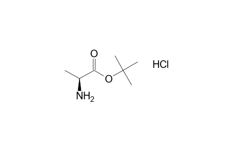L-Alanine tert-butyl ester hydrochloride