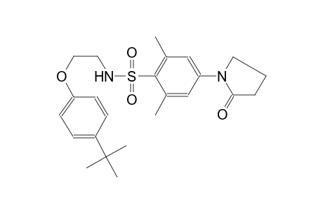 N-[2-(4-tert-butylphenoxy)ethyl]-2,6-dimethyl-4-(2-oxo-1-pyrrolidinyl)benzenesulfonamide