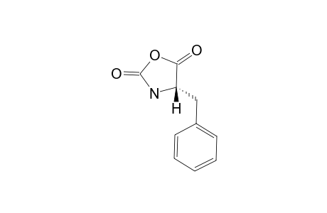 L-PHENYLALANYL-N-CARBOXANHYDRIDE