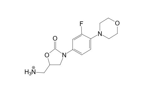 Linezolide MS3_1