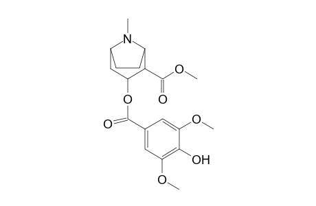 Cocaine-M (di-HO-methoxy-HO-ring) MS2