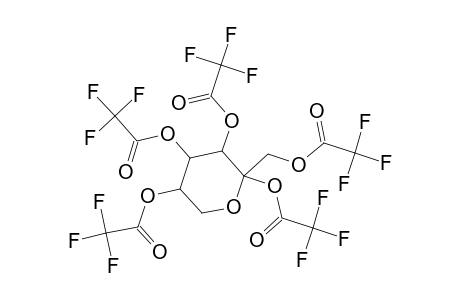Fructose 5TFA