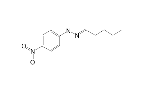 Pentanal, (4-nitrophenyl)hydrazone