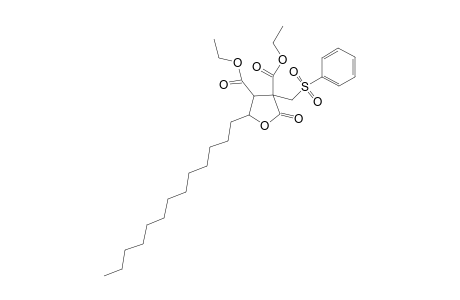 Diethyl 2-oxo-5-tridecyl-3-[(phenylsulfonyl)methyl]-tetrahydrofuran-3,4-dicarboxylate