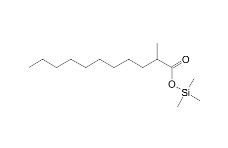 2-Methylundecanoic acid, tms