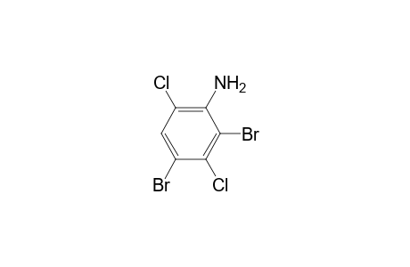 2,4-dibromo-3,6-dichloroaniline