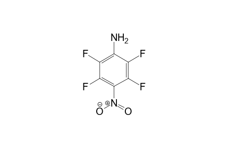 (2,3,5,6-tetrafluoro-4-nitro-phenyl)amine