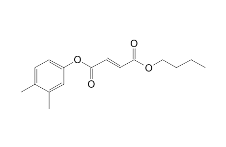 Fumaric acid, butyl 3,4-dimethylphenyl ester