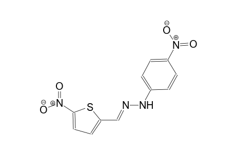 N-(4-nitrophenyl)-N'-(5-nitro-2-thienylmethylene)hydrazine