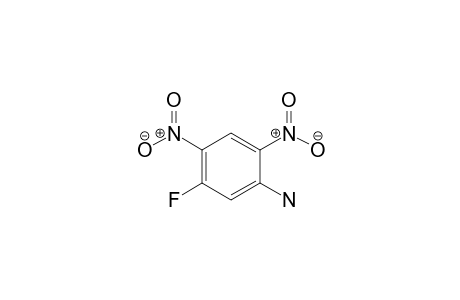 2,4-Dinitro-5-fluoroaniline