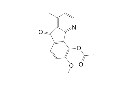 O-acetyl-isoursuline