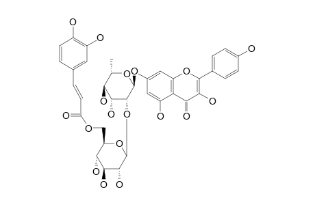 KAEMPFEROL_7-O-(6-TRANS-CAFFEOYL)-BETA-GLUCOPYRANOSYL-(1->2)-ALPHA-RHAMOPYRANOSIDE;CHIIRICANIN
