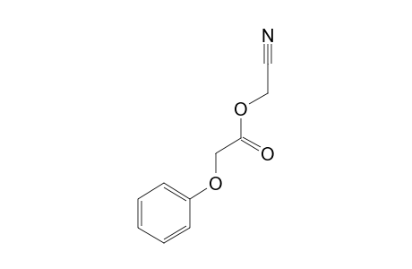 phenoxyacetic acid, cyanomethyl ester