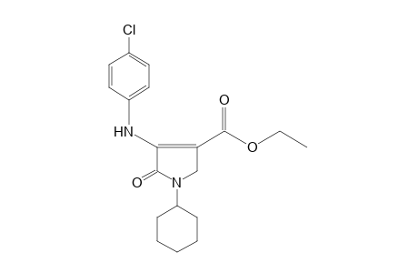 4-(p-chloroanilino)-1-cyclohexyl-5-oxo-3-pyrroline-3-carboxylic acid, ethyl ester