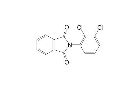 N-(2,3-dichlorophenyl)phthalimide