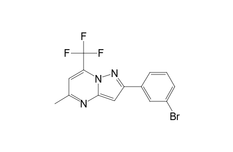 5-METHYL-2-(3-BROMOPHENYL)-7-TRIFLUOROMETHYL-PYRAZOLO-[1,5-A]-PYRIMIDINE