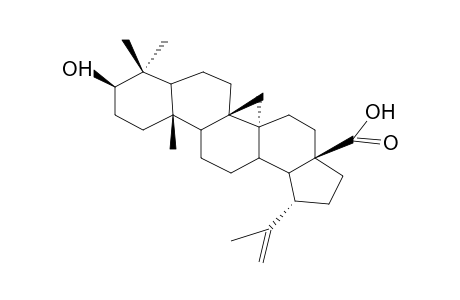 Betulinic acid