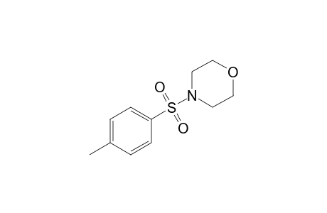 N-Tosylmorpholine