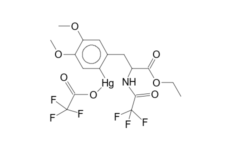 N-Trifluoroacetyl-3,4-dimethoxy-6-trifluoroacetoxy-mercurio-l-Phenylalanine ethyl ester