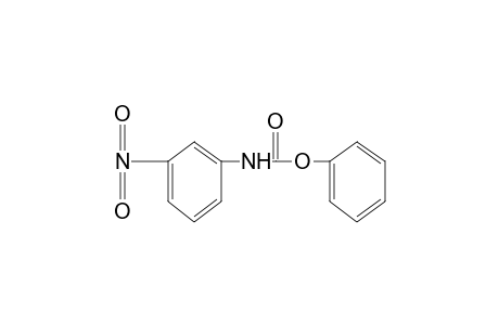 m-nitrocarbanilic acid, phenyl ester