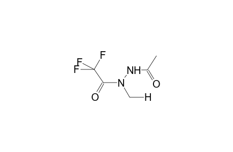 (EZ)-N-ACETYL-N'-METHYL-N'-TRIFLUOROACETYLHYDRAZINE