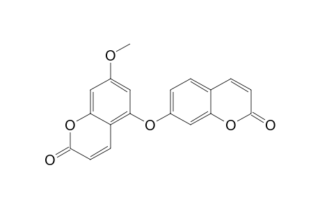 7-METHOXY-5,7'-OXYDICOUMARIN